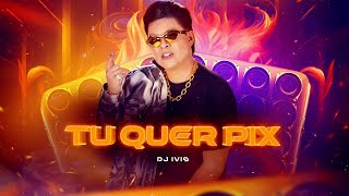 TU QUER PIX  Dj Ivis CD 1 do Deejay [upl. by Zoubek]