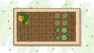 How to Start a Vegetable Garden The Basics [upl. by Eirelam]