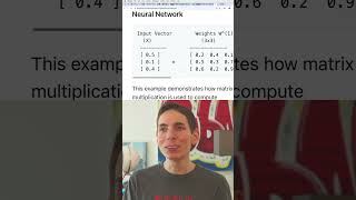 Matrix Multiplication in Neural Networks [upl. by Eynttirb]