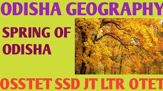 SPRING OF ODISHAODISHA GEOGRAPHYLTR SSD JT OSSTET OTET [upl. by Riess]