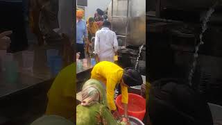 gurudwara da langar🙏 youtube volag travelblog gurudwara gurpurab [upl. by Schindler]