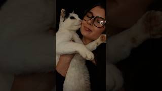 cat ASMR asmr tingleexperience asmrvideos feelthetingle asmrtriggers tinglesensation [upl. by Afital]