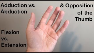 Abduction vs Adduction Flexion vs Extension and Opposition of the Thumb [upl. by Noseaj]