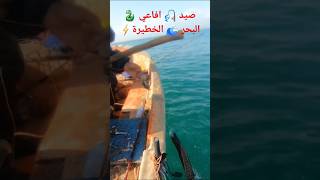 صيد افاعي البحر السامة maroc pêche [upl. by Kala]