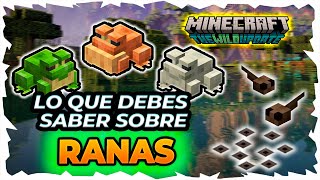 LAS RANAS DONDE ENCONTRARLAS Y COMO DOMESTICARLAS  Minecraft 119 Bedrock  Java The Wild Update [upl. by Chung]