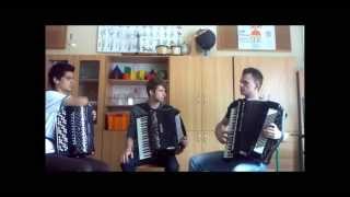 Yann Tiersenn  Waltz La Noyee Crazy Acordion Trio [upl. by Arratahs14]