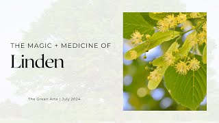 The Magic amp Medicine of Linden [upl. by Akkire229]