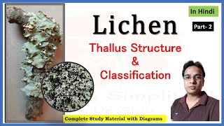 लाइकेन के थैलस की संरचना । वर्गीकरण । Lichen thallus structure  classification of Lichen  Part 2 [upl. by Wetzel]