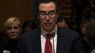 Mnuchin Faces Criticism over Foreclosures [upl. by Eclud]