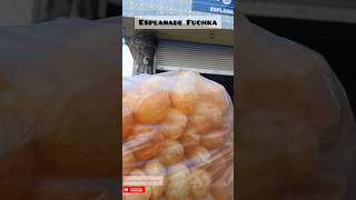 Esplanade Street Food 😋  PanipuriFuchka  ফুচকা shorts streetfood panipuri golgappa foodvlog [upl. by Ellenod]