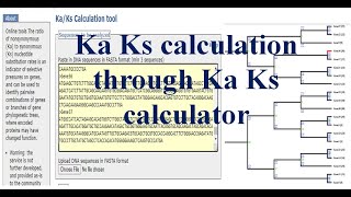 how to calculate Ka Ks value  kaks calculator synonymous and nonsynonymous substitution rate kaks [upl. by Alane]