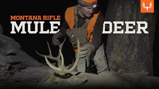 Montana Mule Deer  On the Hunt with Janis Putelis [upl. by Amir]