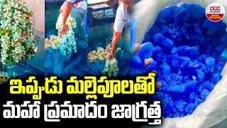 ఇప్పుడు మల్లె పూలతో మహా ప్రమాదం  Jasmine Flowers  ABN Digital Exclusive [upl. by Ahsirhcal870]