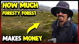 How Much Foresty Forest Makes Money On YouTube 2023 [upl. by Aizatsana950]