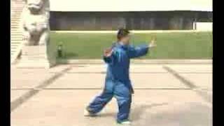 Combined Taijiquan 66 Forms [upl. by Milicent]