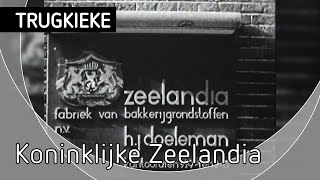 Trugkieke Koninklijke Zeelandia Zierikzee [upl. by Nagol905]