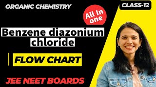 Benzene diazonium chloride Flow Chart class 12th Organic chemistry [upl. by Aundrea]