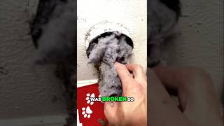 Unclogging a Dryer Vent Restoring Drying Power Fast diy [upl. by Atteselrahc]