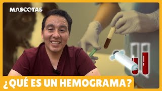 EL HEMOGRAMA ES CLAVE PARA DETECTAR ENFERMEDADES [upl. by Leuneb]