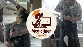 Hoe geef ik mijn hond medicijnen [upl. by Redmond]