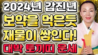 🌟2024년 갑진년 대박나는 토끼띠운세🌟 신년에 금전 쏟아지고 대운 들어온다 토끼띠 말년에 대박이다 51년생 63년생 75년생 87년생  73세 61세 49세 37세 토끼띠 [upl. by Anaehr]