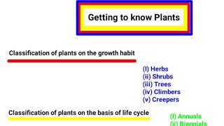 Classification of Plants  HerbsShrubsTrees Climbers Creepers  Full Explanation [upl. by Aylat]