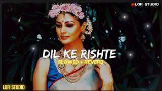 Dil Ke Rishte ❤️  Slowed And Reverb Song 💙  New Song Slowed Reverb 💕  LOFISTUDIO134 [upl. by Pedaiah202]