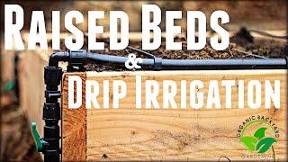 How to Build a Raised Garden Bed with Drip Irrigation  Inexpensive amp Easy [upl. by Orman]