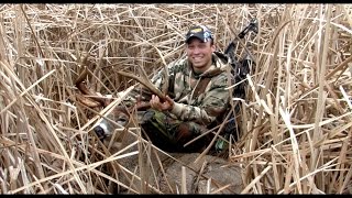 GIANT 165quot Marsh Buck  Public Land WI  Behind the Bow [upl. by Niwhsa900]