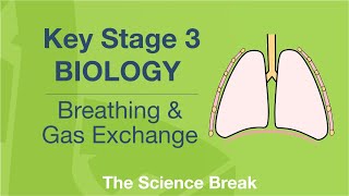 Key Stage 3 Science Biology  Breathing and Gas Exchange [upl. by Aisinut]