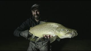 Pure Fly NZ  Massive New Zealand Mouse Eating Trout On Fly [upl. by Ailima]