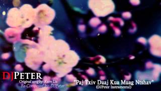 Kwm Lis  Paj Txiv Duaj Kua Muag Ntshav DJPeter Instrumental [upl. by Yntruoc502]