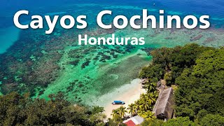 🇭🇳😍 Este lugar es un paraíso  Cayos Cochinos Islas de la Bahía Honduras [upl. by Rennoc]