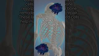 Cell of the Day Osteoclast bonehealth cellbiology [upl. by Cram721]