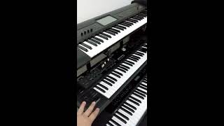 Paano Pumili ng Keyboard Especially for Beginners [upl. by Euginomod281]