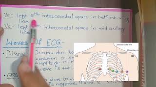 ECG explain in Marathi  Bams 1st year  Physiology  Kriya Sharir [upl. by Anal495]