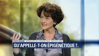 Chronique santé  l’épigénétique c’est quoi [upl. by Markiv]