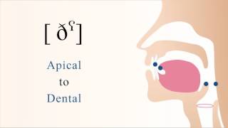 ðˁ  voiced pharyngealized apical dental non sibilant fricative [upl. by Corey]