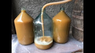 Wine making with oldest traditional method  Homemade Georgian Wine [upl. by Ynoep]