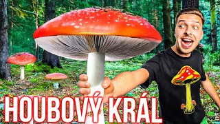 JSEM KRÁL HOUBAŘŮ ŘÍKEJTE MI ŽAMPION 😬  Mushroom Season 4 [upl. by Dranrev]