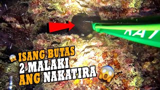 ISANG BUTAS 2 MALAKI NAKATIRA 😱  EPISODE 161  NIGHT SPEARFISHING PHILIPPINES  Drins Adventure [upl. by Robena939]