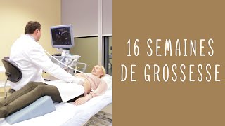 🎀 Ma grossesse  bilan 2mois amp demi  1ere echographie amp nausées 🎀 [upl. by Llerehc]