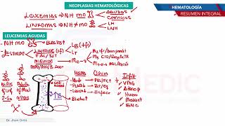 Hematología  Neoplasias leucemias aguda [upl. by Ayeki685]