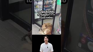 คนญี่ปุ่นช็อคที่เห็นหมานอนหน้า 711 ในประเทศไทย🇹🇭 japanmase shorts [upl. by Nosnhoj]