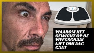 De Weegschaal Gaat Niet Meer Omlaag Wat Moet Je Doen Om Je Vetpercentage Verder Te Verlagen [upl. by Attenauqa]