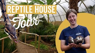 Reptile House Tour at Jimmys Farm [upl. by Meldon903]