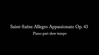 Saint Saëns Allegro Appassionato Op 43 piano part Slow tempo [upl. by Neelon]