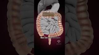 Why Does Constipation Happen shorts viralvideo  creativelearning3d [upl. by Asiole189]