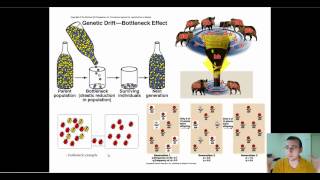 Microevolution Through Genetic Drift [upl. by Hbaruas]