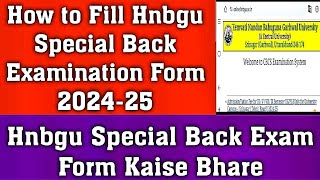 How to Fill Hnbgu Special Back Examination Form 202425 [upl. by Glialentn]